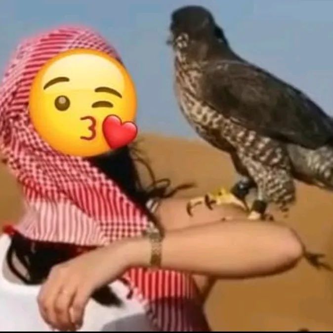 Sound cover