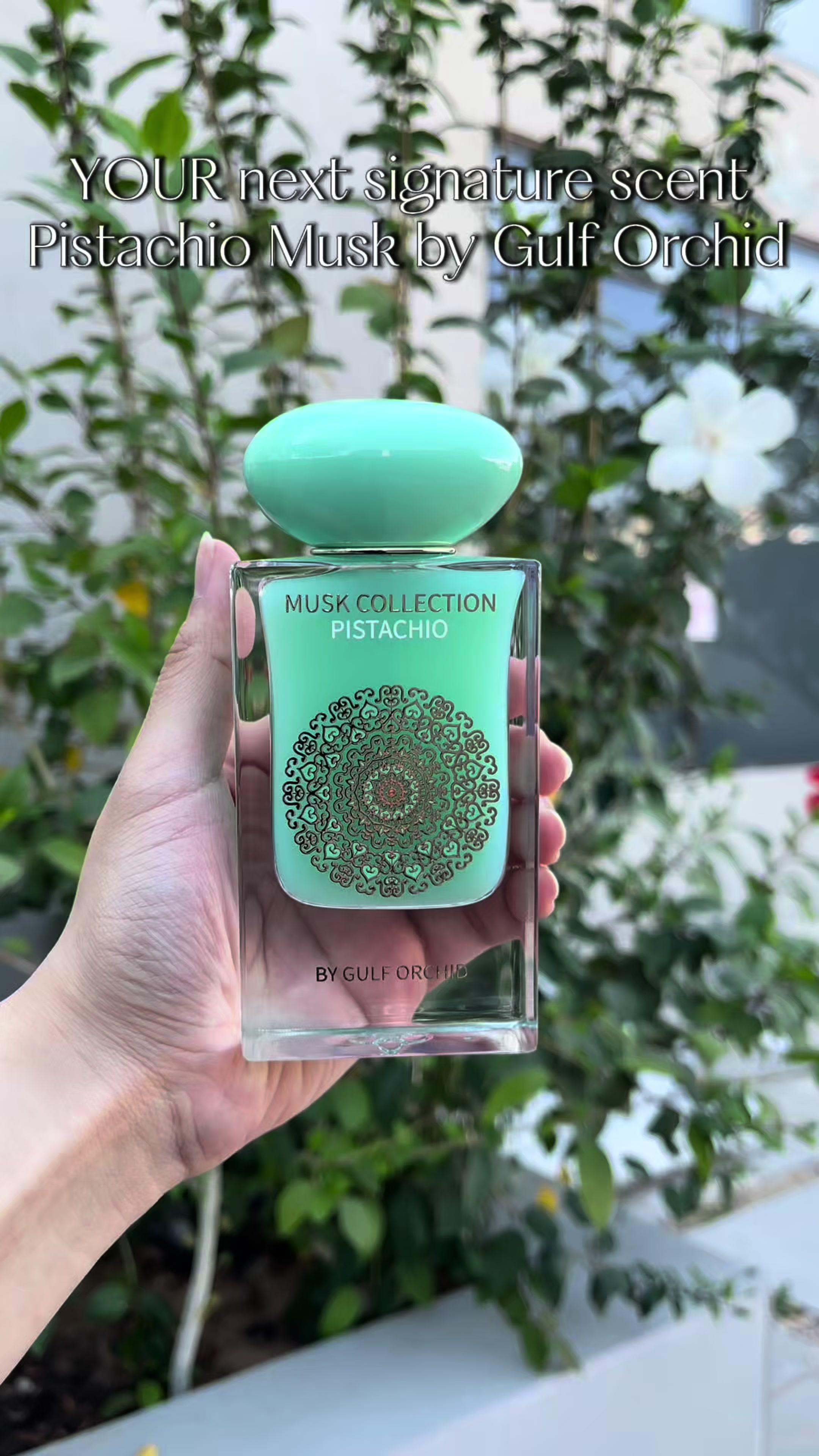 Shop now and free shipping today!