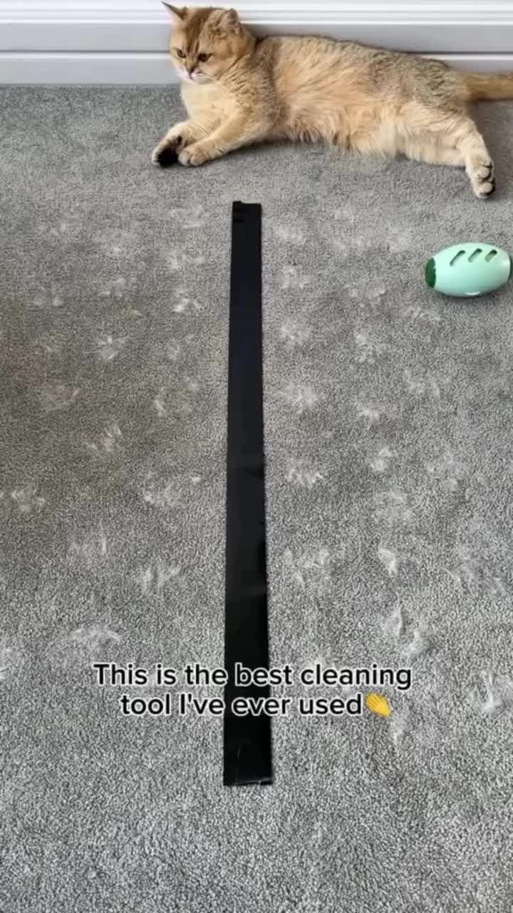 50k orders, 50% off, Black Friday bundles—pet hair glove selling fast, grab yours now