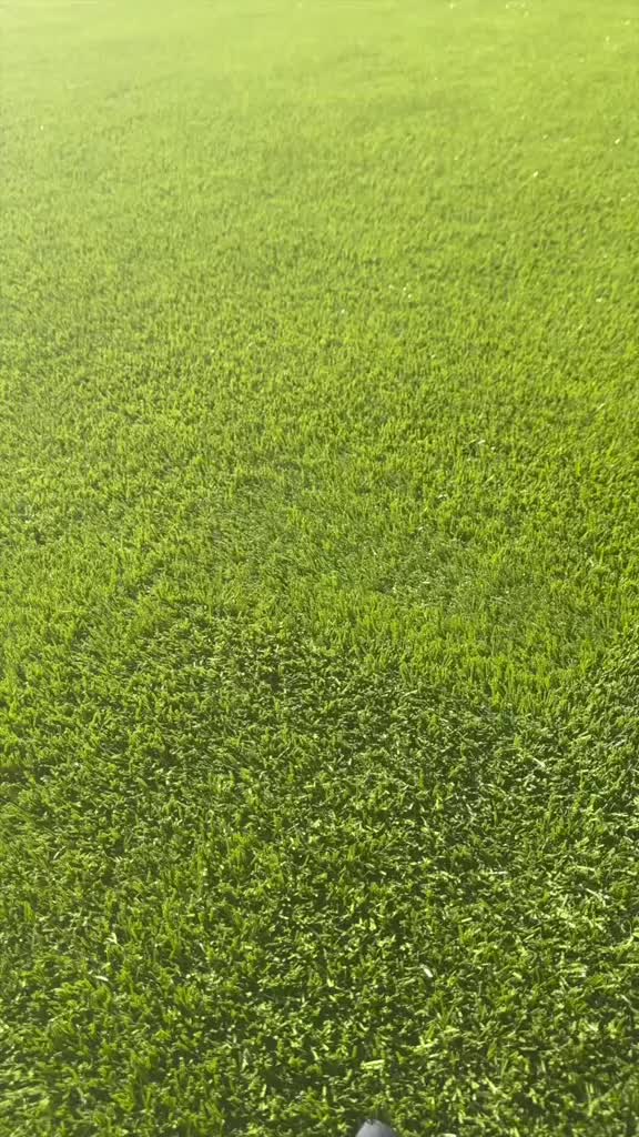 Early Christmas Sale-49% OFF-Wi-Fi Bluetooth Smart Led for outdoor-Buy 2 Get 1 Free & Free Shipping