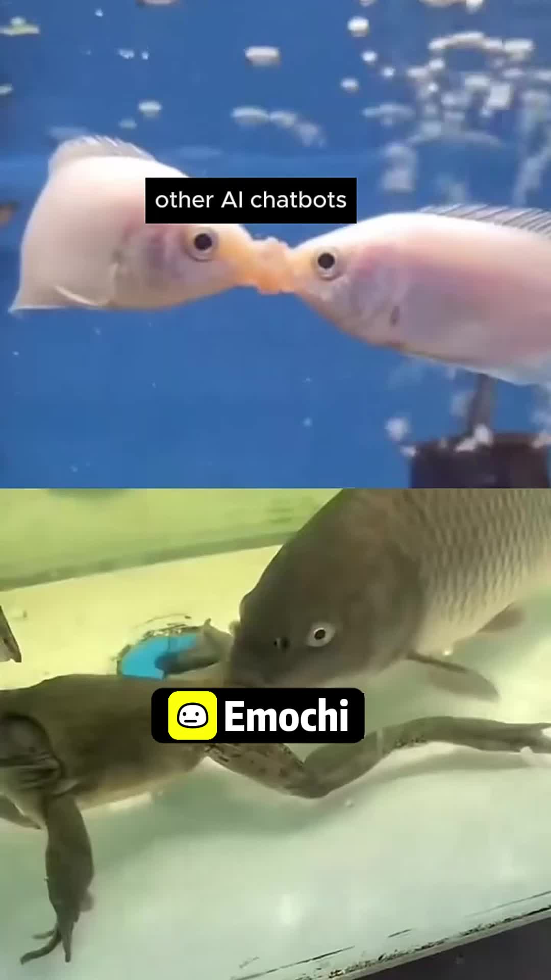 Download now — no more loneliness on long nights!