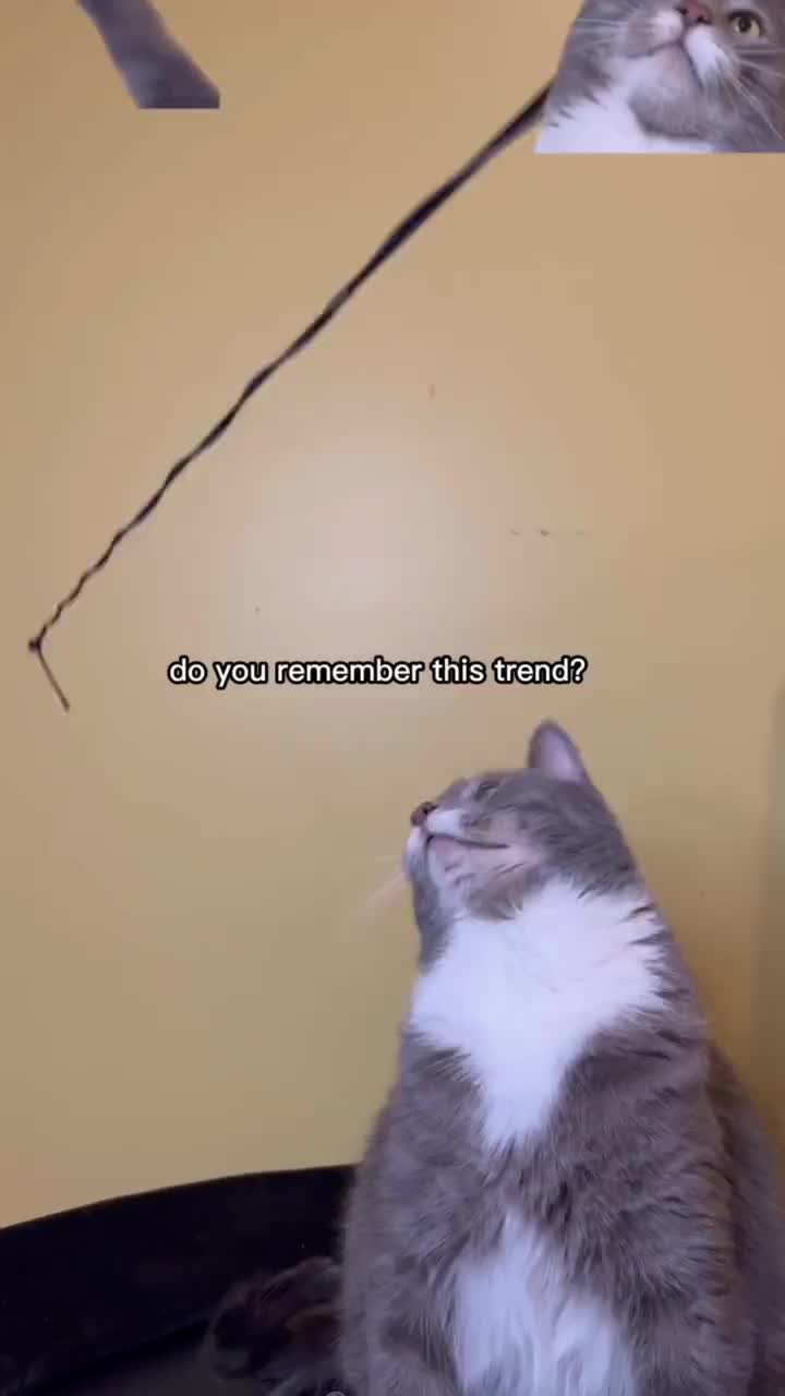 On your phone, download the free capcut app and select the video you want to use.