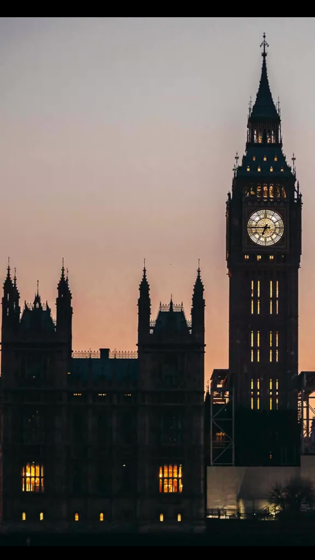 Upgrade your business skills for free!