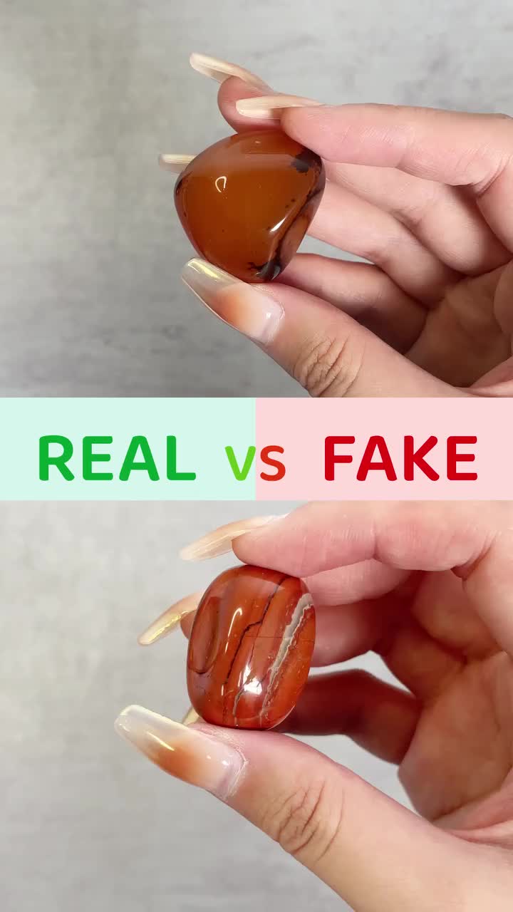 Free Download: Your Path to Unlimited Fun!