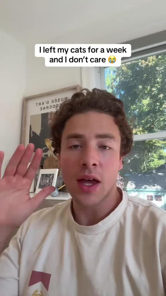 Save Big on Pet Supplies: Litter Box 15% Off & Free Shipping!