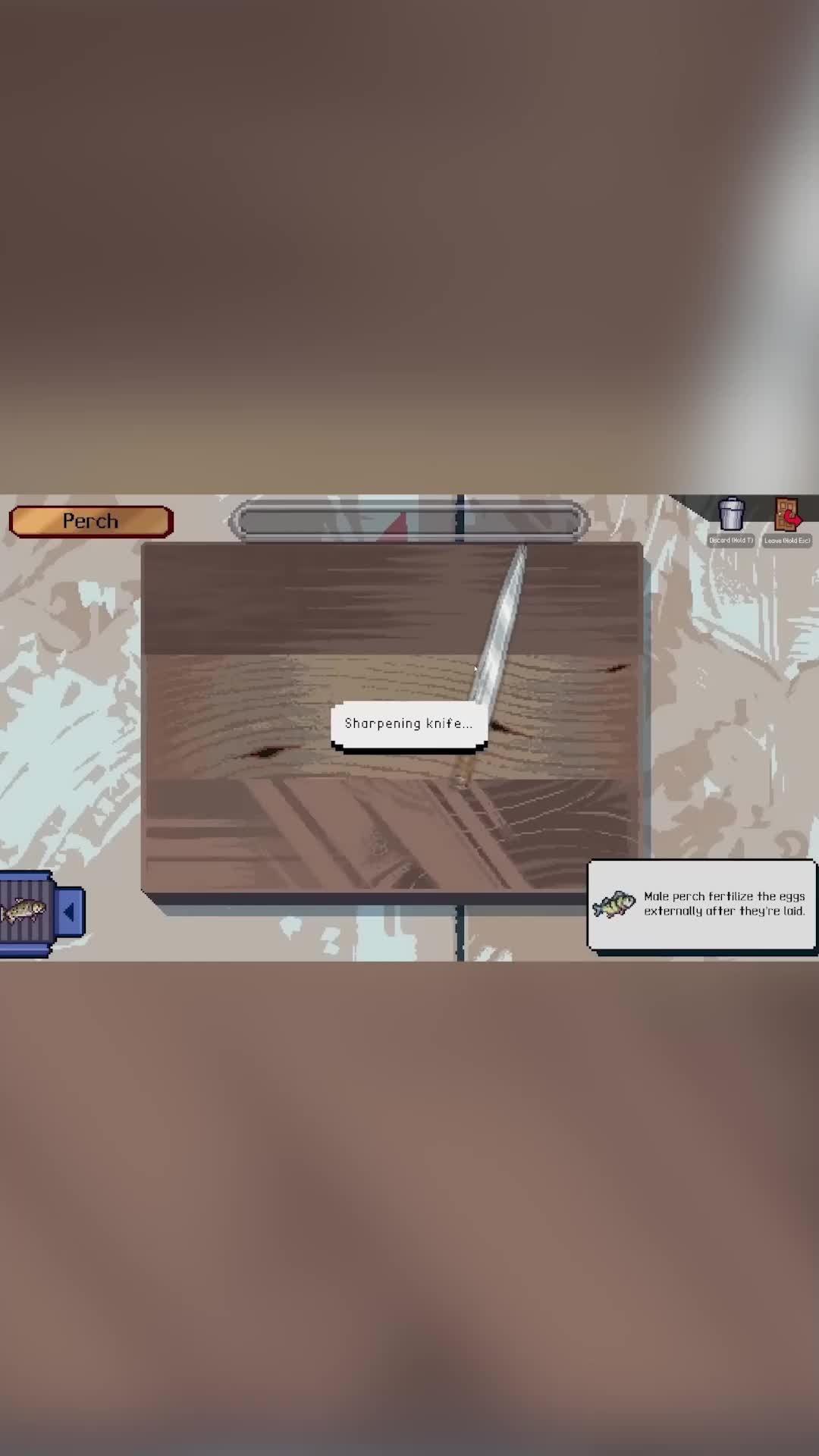 Does anyone know this game?