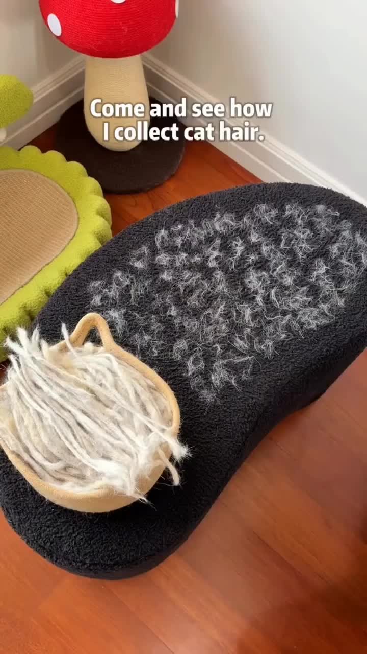 50k orders, 50% off, Black Friday bundles—pet hair glove selling fast, grab yours now