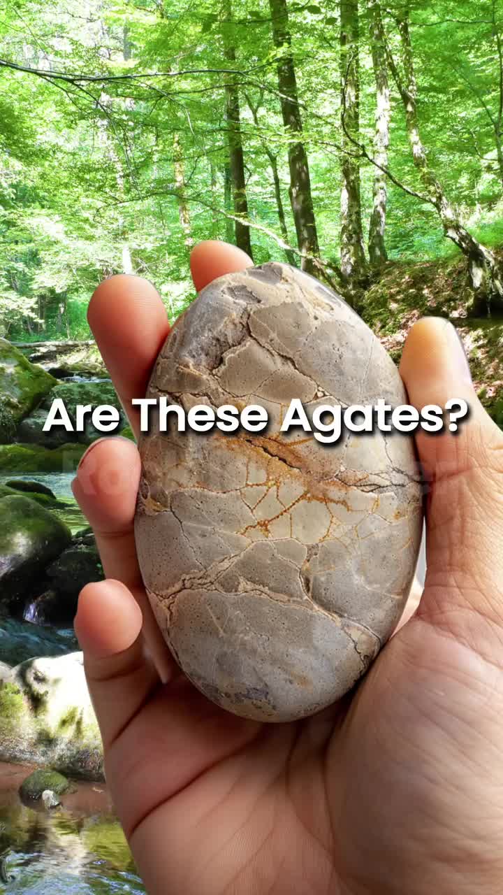 Free Download: Your Path to Unlimited Fun!