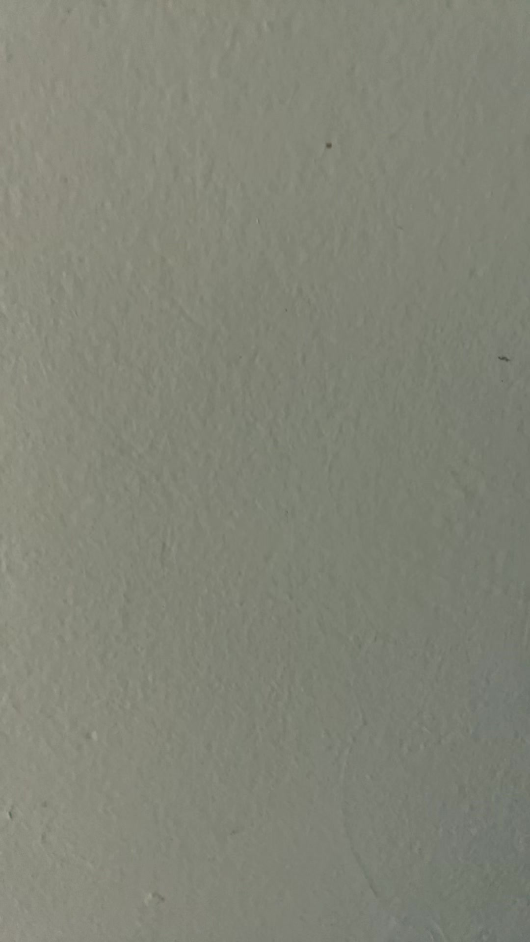 review image 3