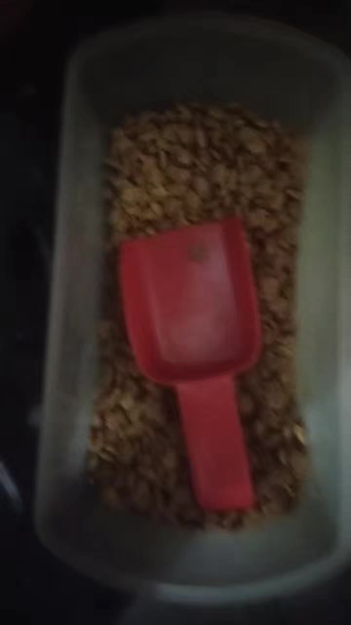 review image 6