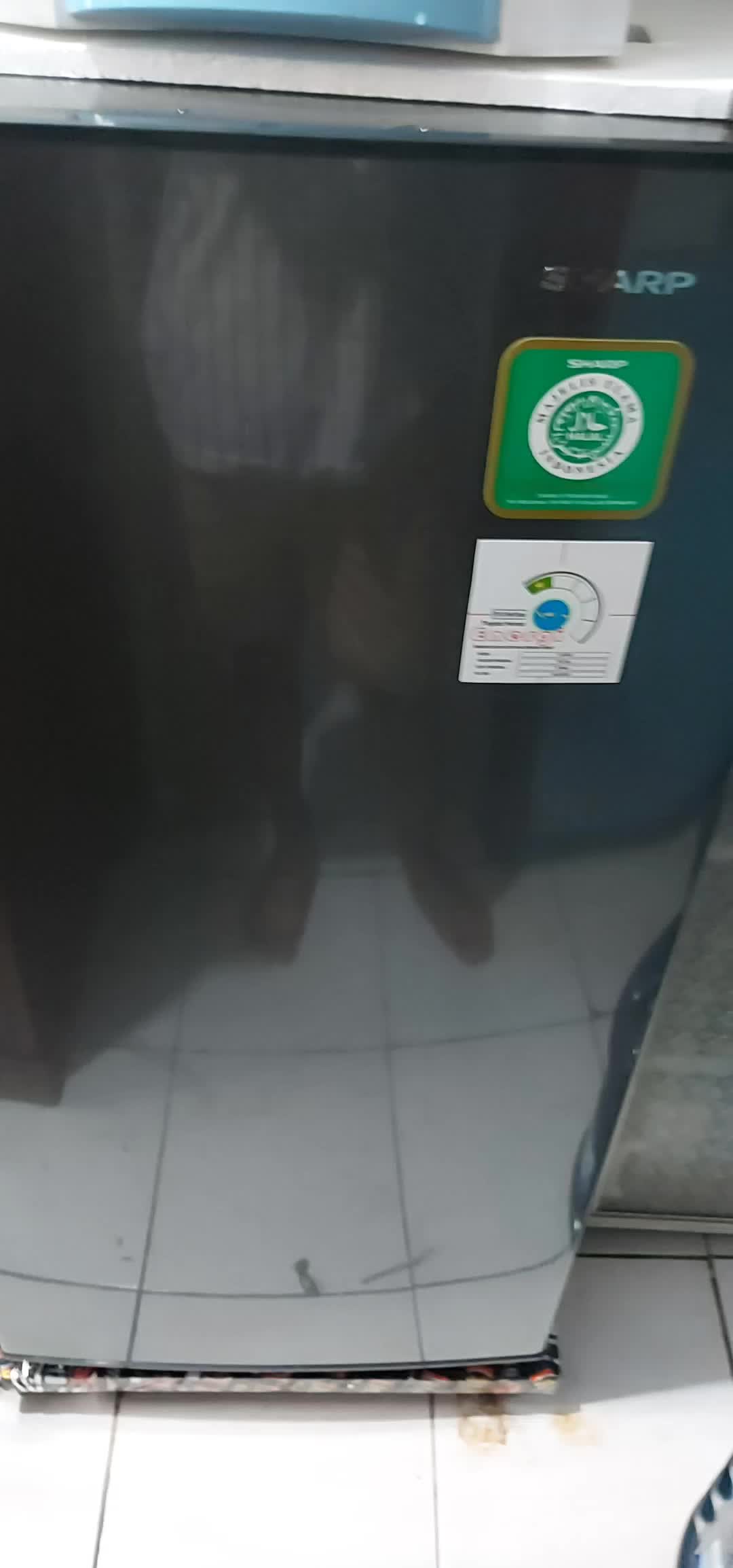 review image 0