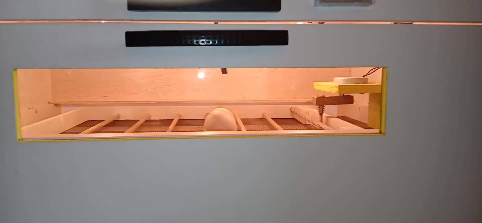 review image 11