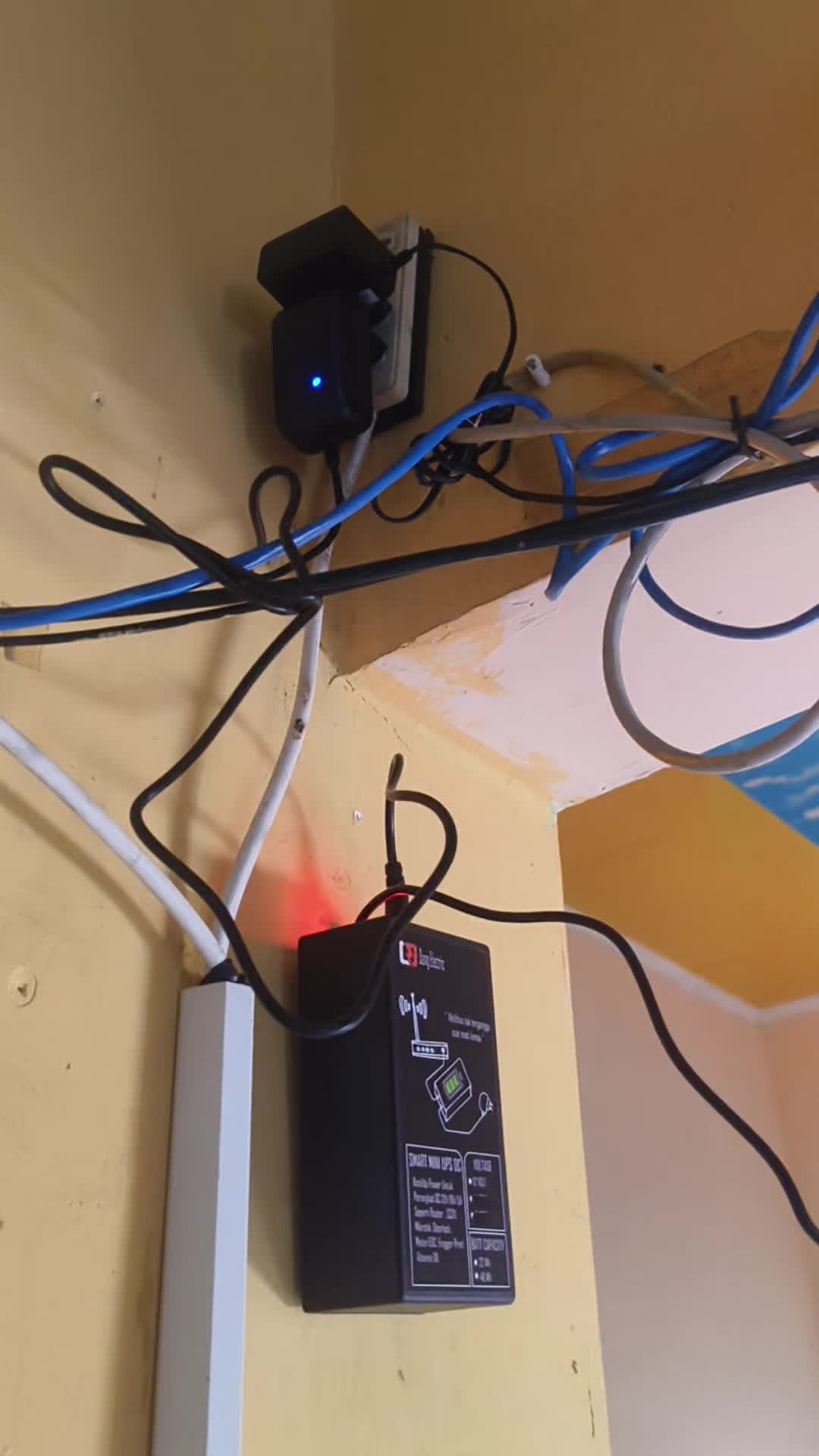 review image 5