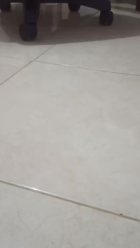 review image 7