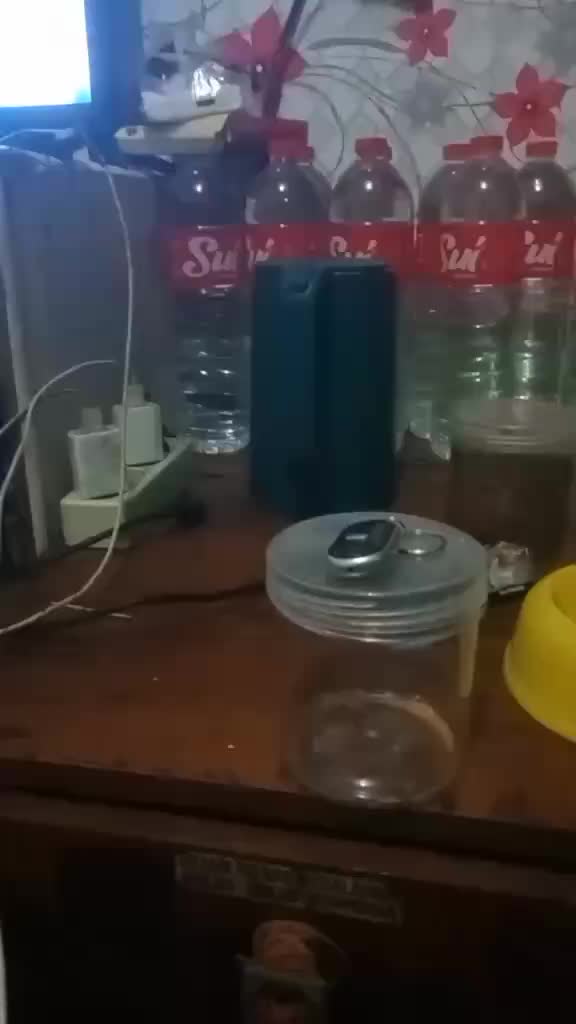 review image 5