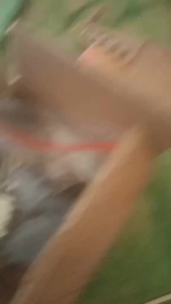 review image 9