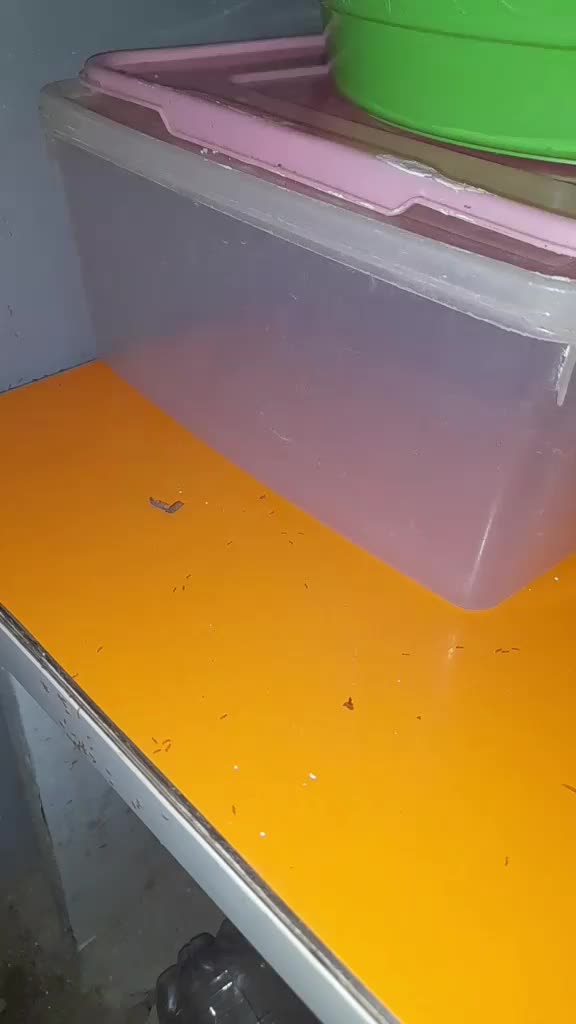 review image 3