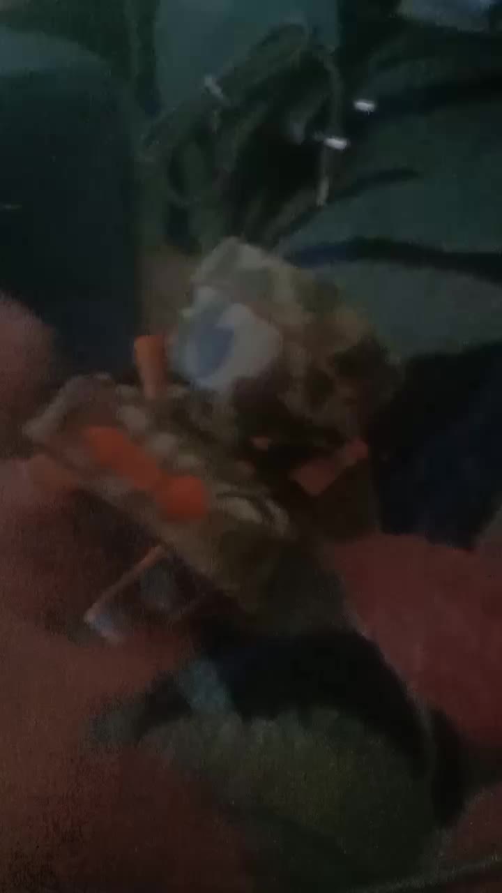 review image 5