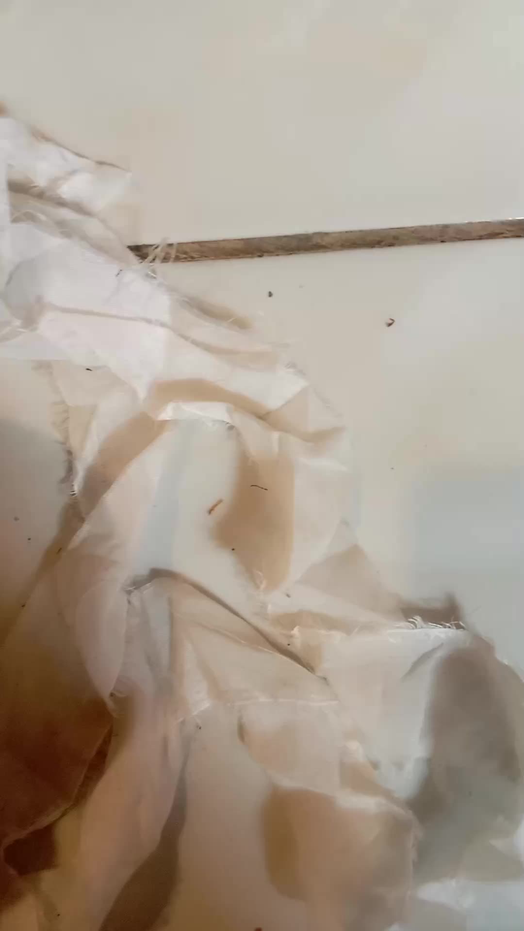 review image 6