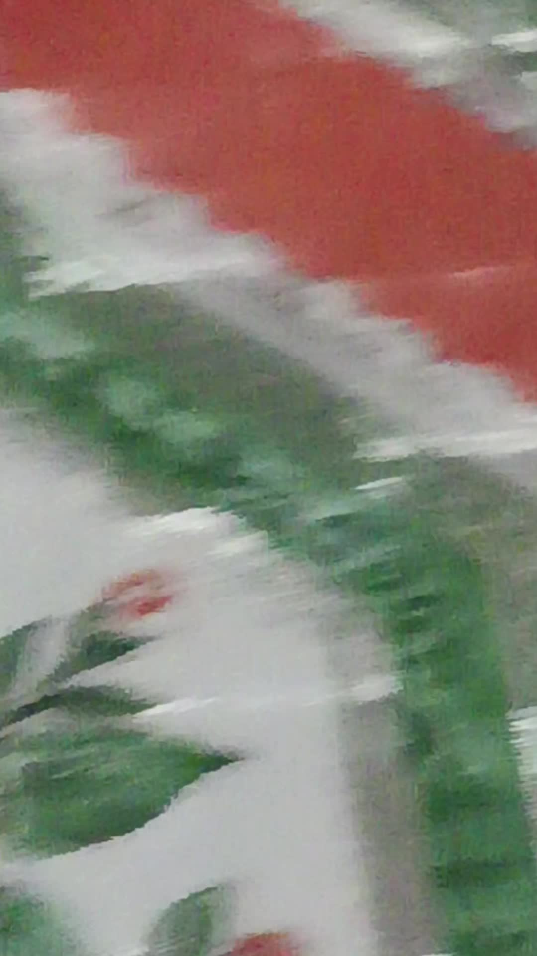review image 12
