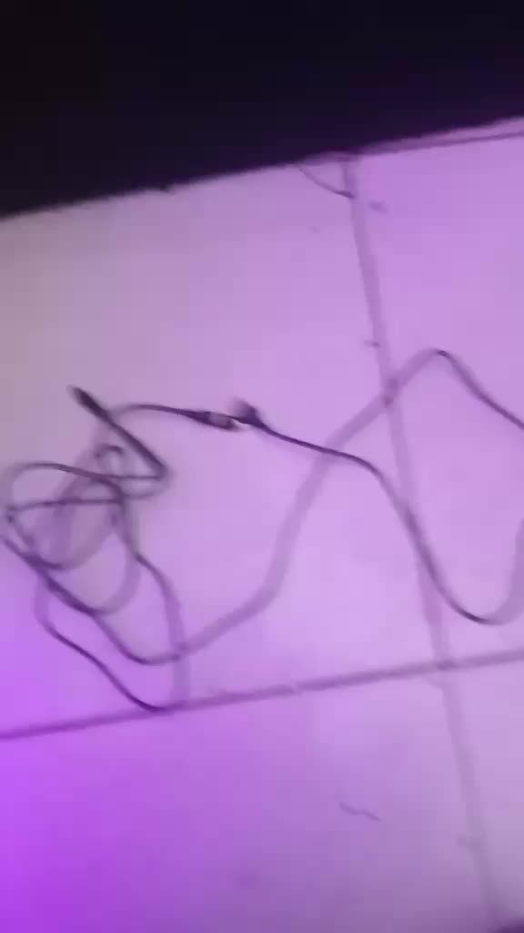 review image 6