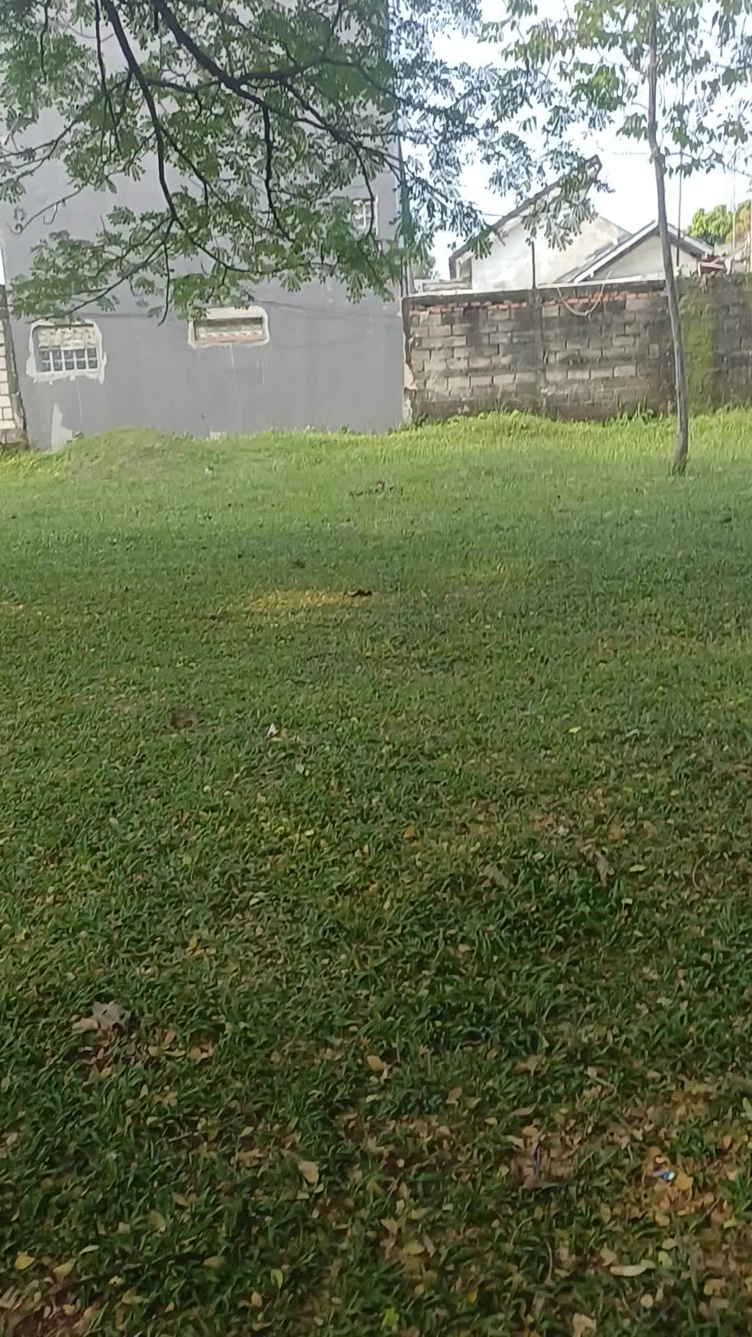 review image 2