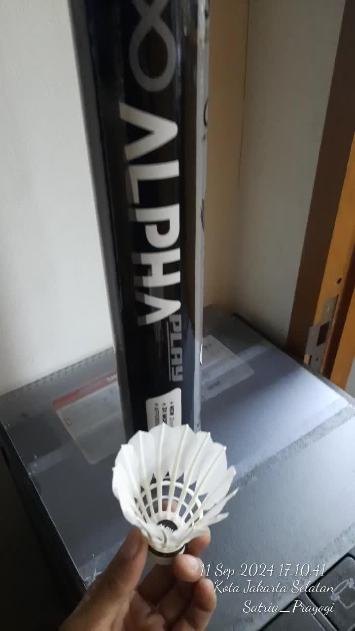 review image 4