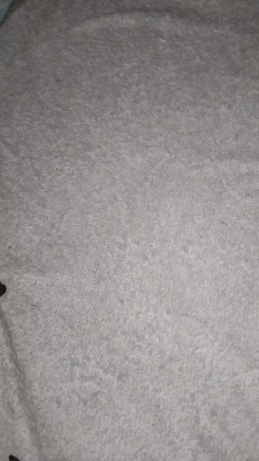 review image 5