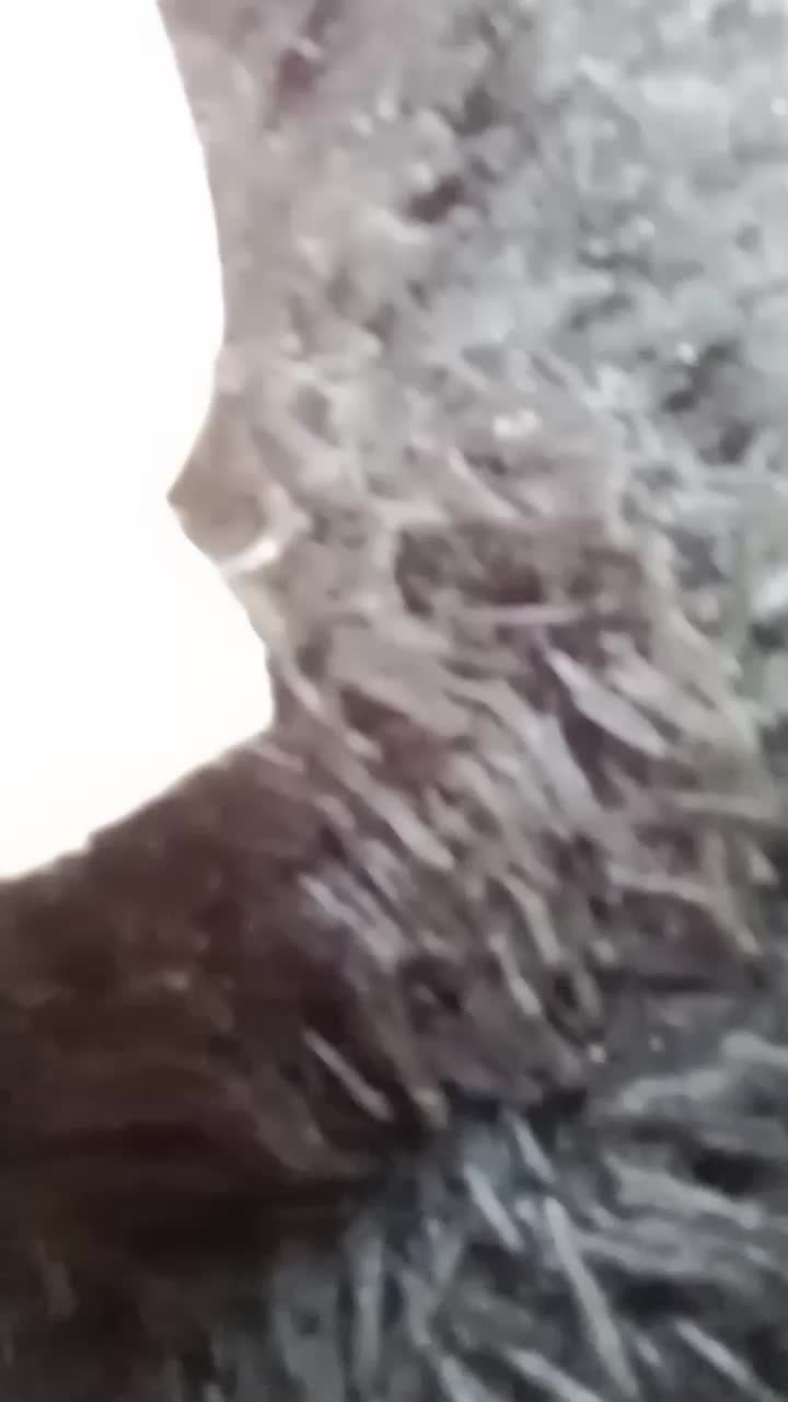 review image 6