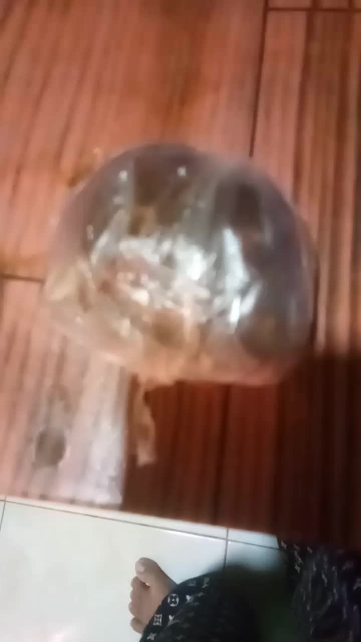 review image 5