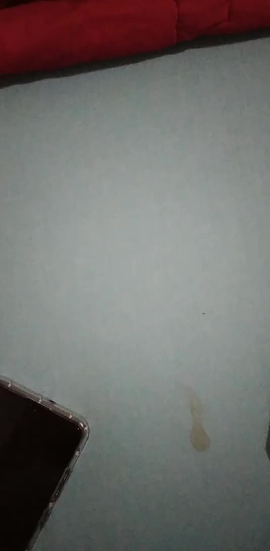 review image 7