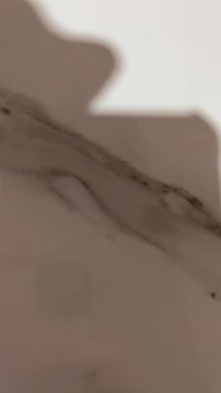 review image 3