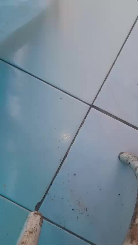 review image 4