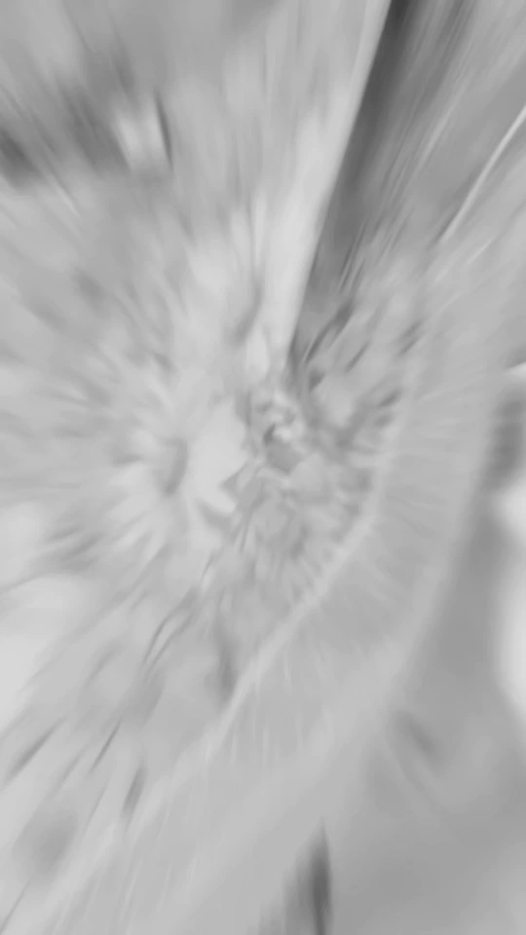 review image 8
