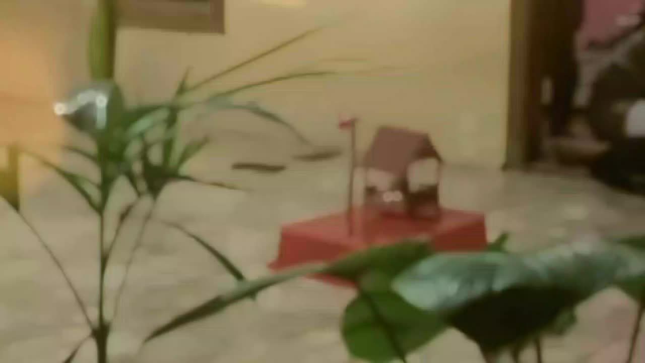 review image 3