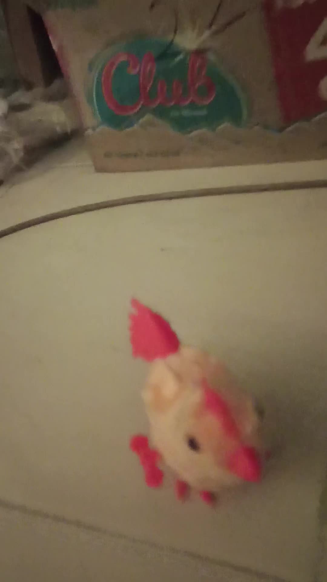 review image 2