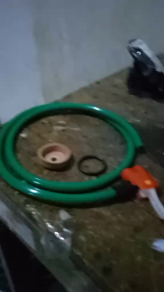 review image 8