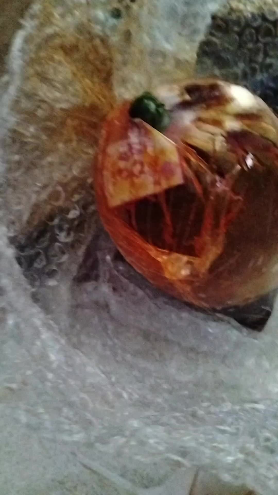 review image 5