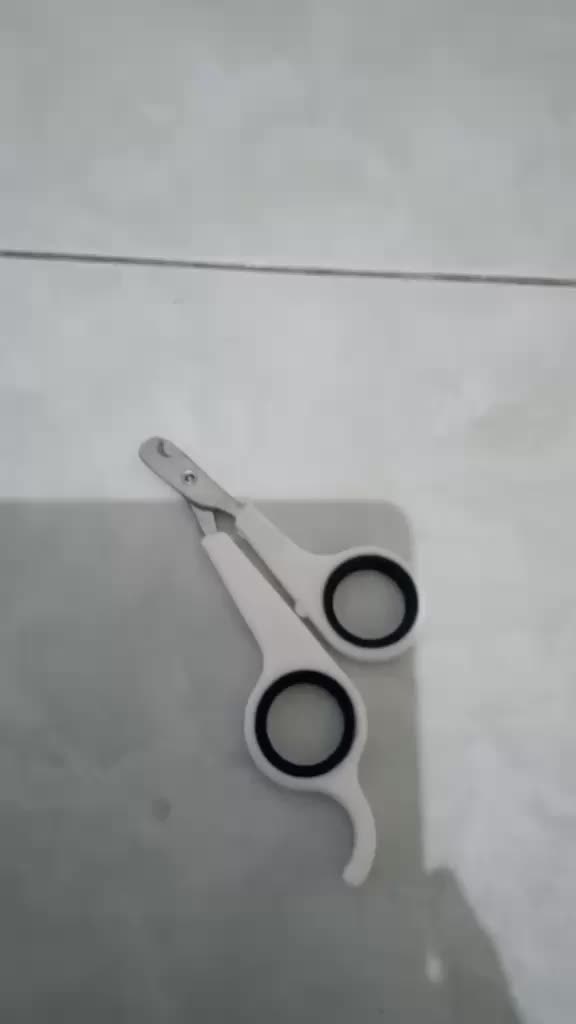 review image 5