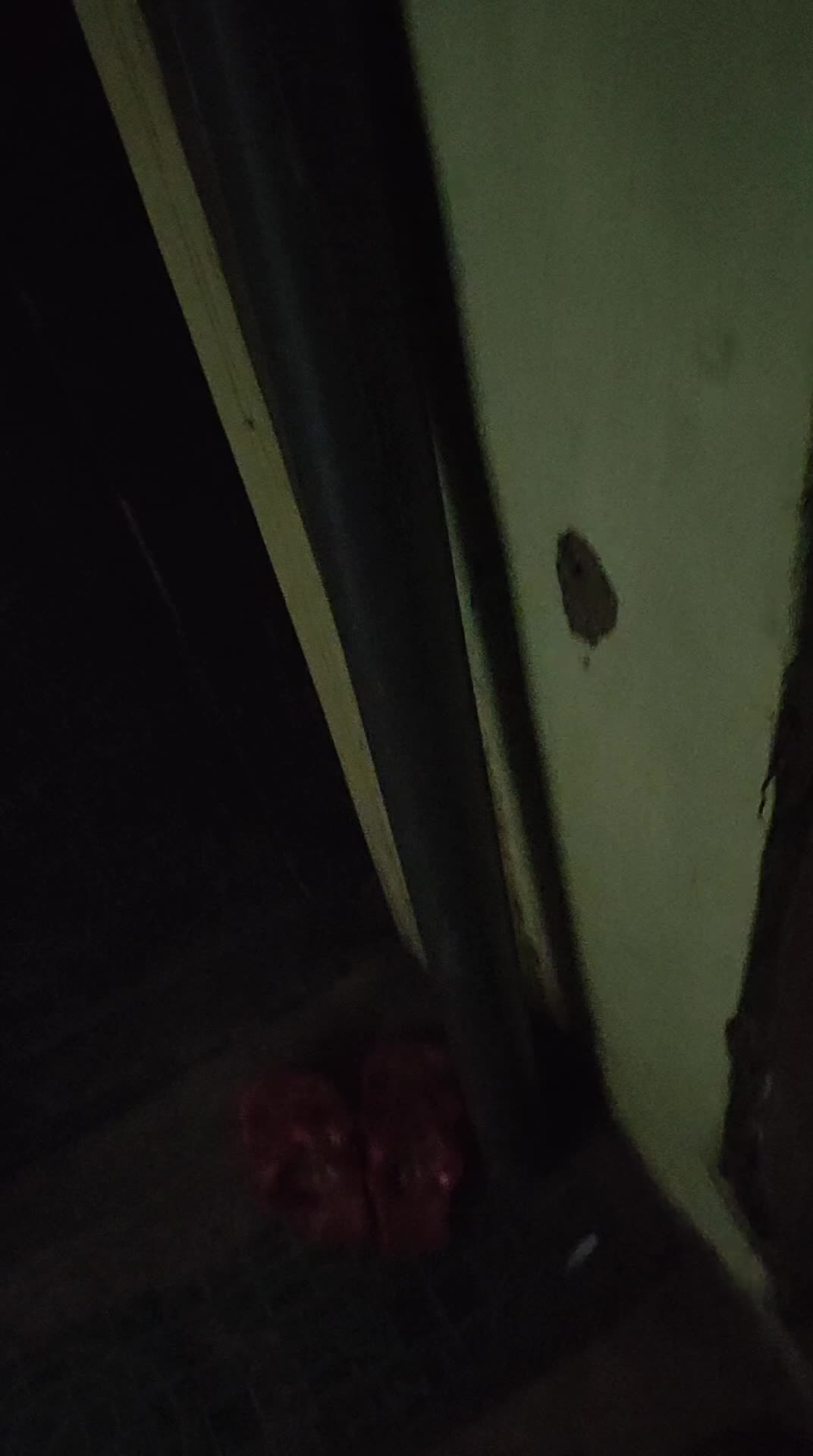 review image 9