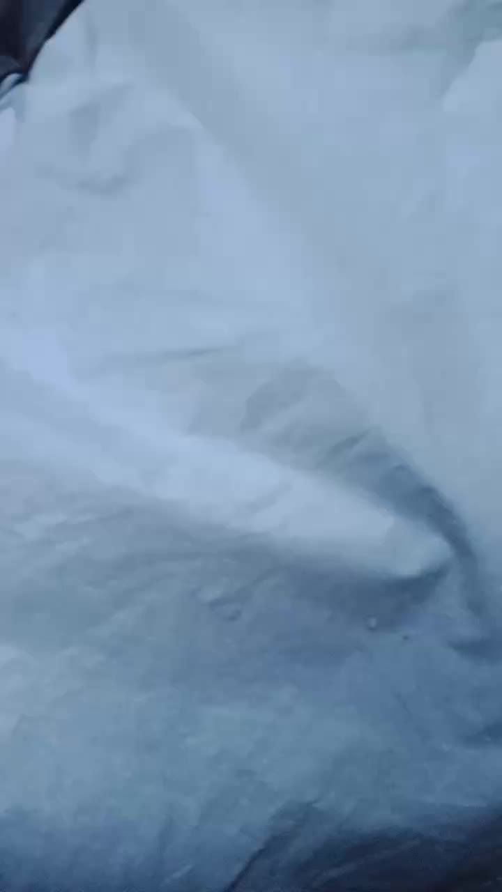 review image 4