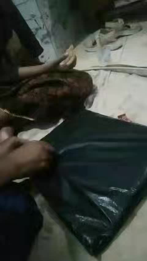 review image 4