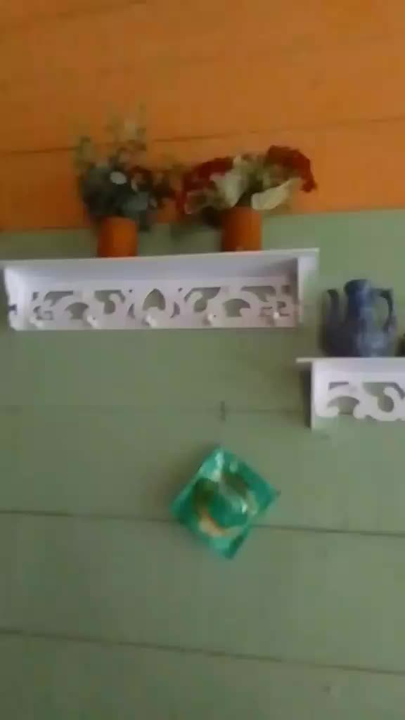 review image 3