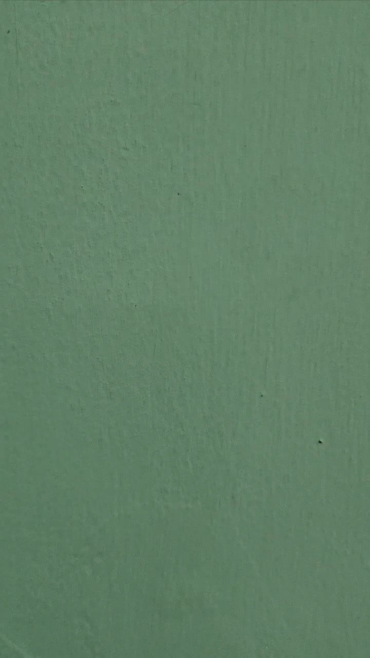review image 10