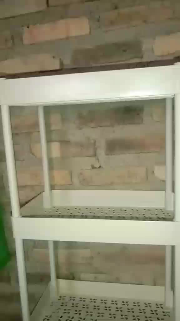 review image 10