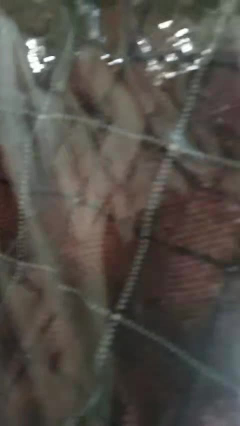 review image 8