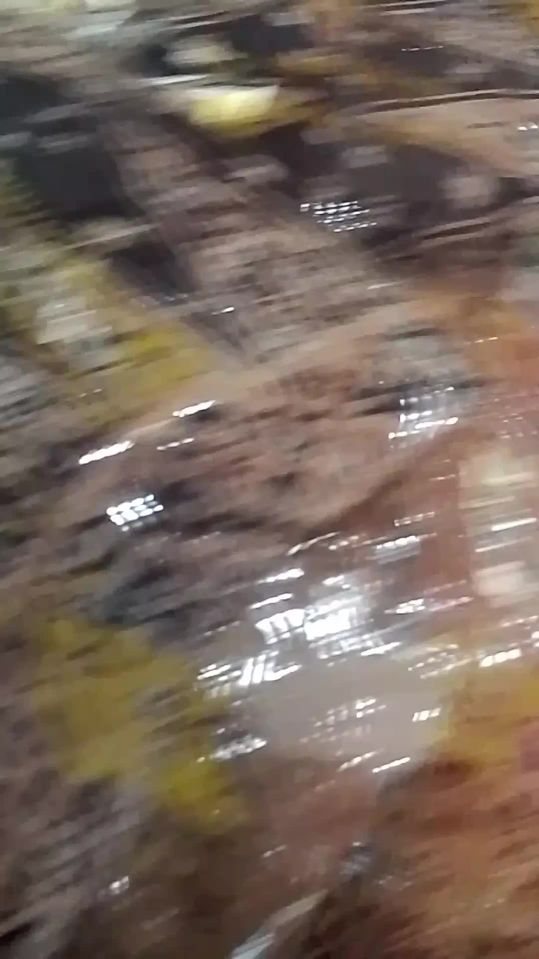 review image 2
