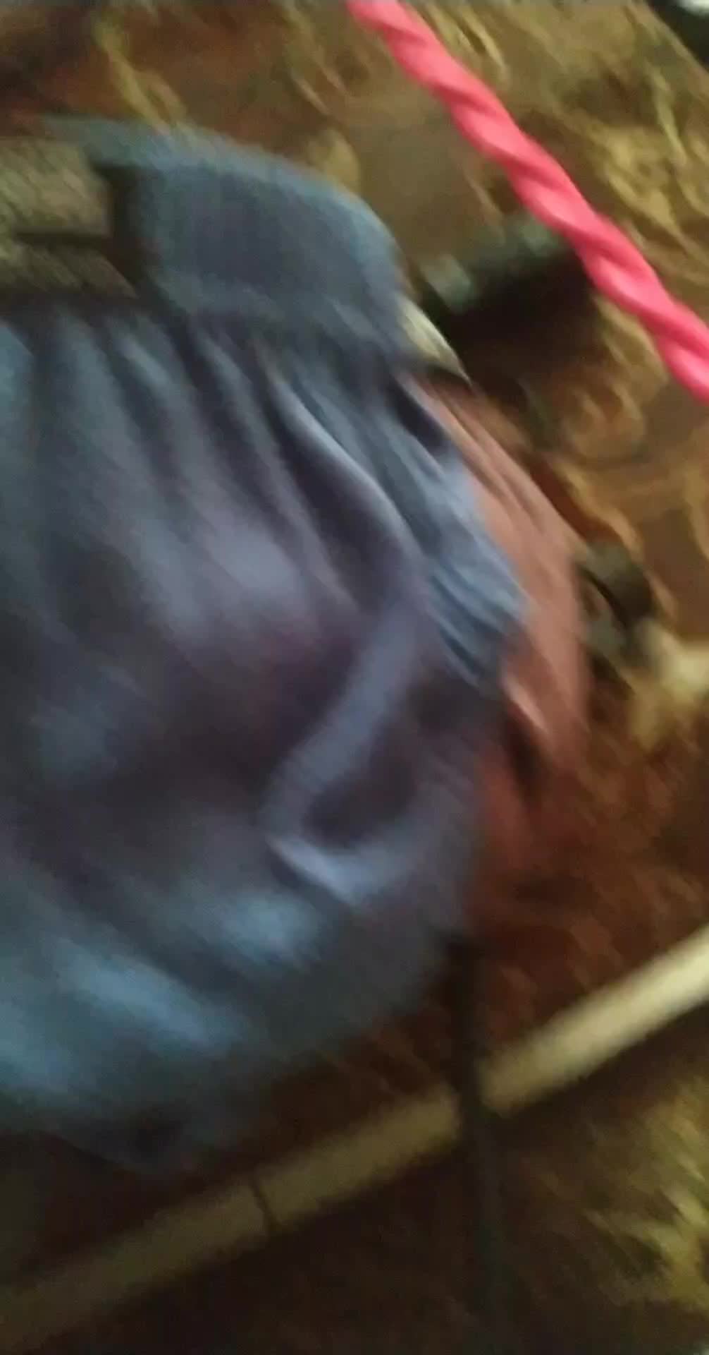 review image 7