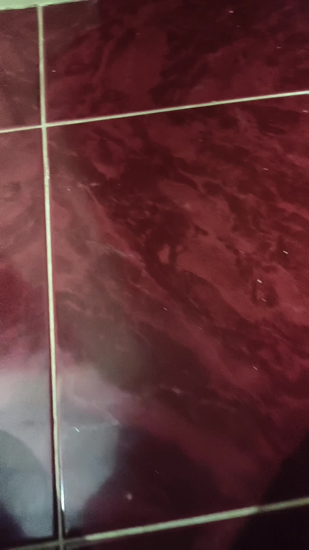 review image 8