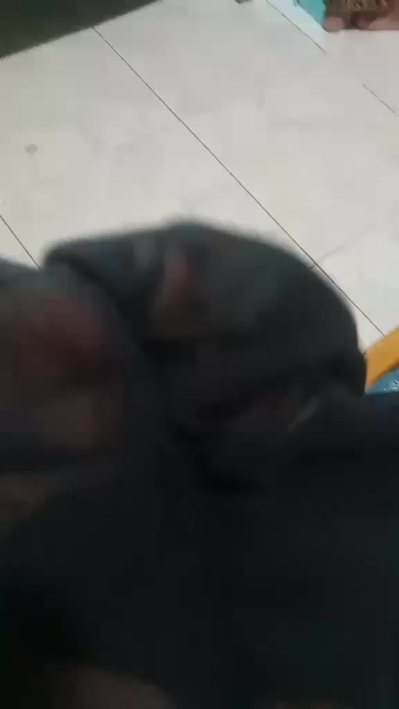 review image 4